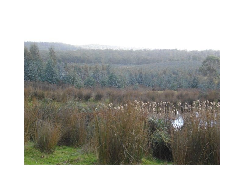 240 Tattersalls Road, Beaconsfield TAS 7270