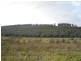 240 Tattersalls Road, Beaconsfield TAS 7270