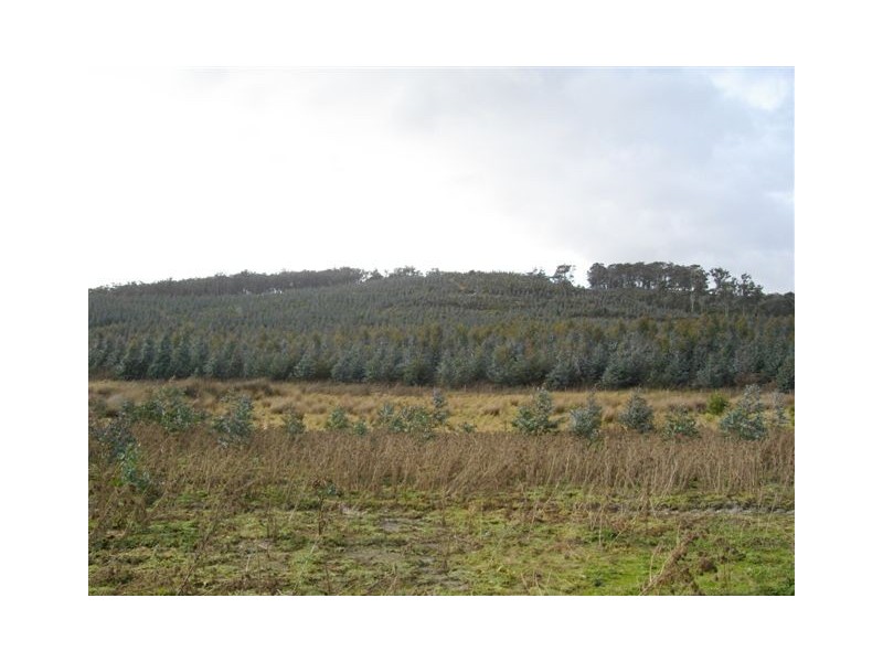 240 Tattersalls Road, Beaconsfield TAS 7270