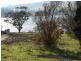 60  Rosevears Drive, Rosevears TAS 7277