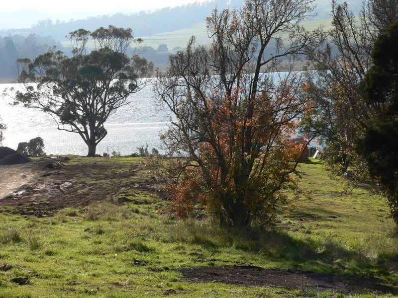 60  Rosevears Drive, Rosevears TAS 7277