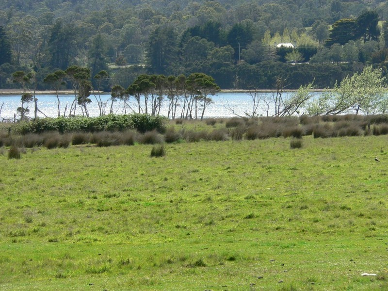 Lot 1 Nobelius Drive, Legana TAS 7277