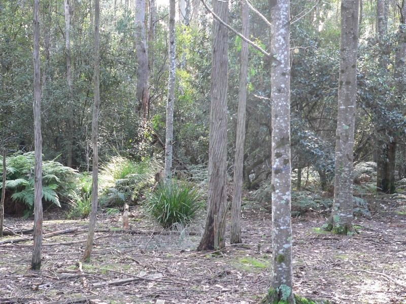 . Rookery Road, Winkleigh TAS 7275