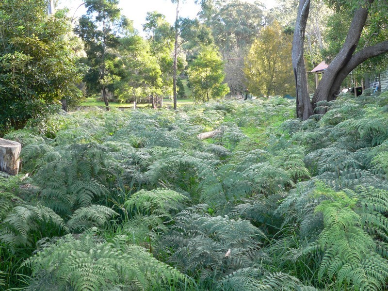 368  Deviot Motor Road, Deviot TAS 7275