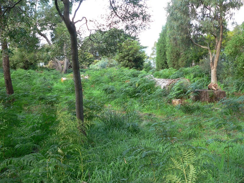 368  Deviot Motor Road, Deviot TAS 7275