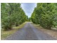 416 Loop Road, Glengarry TAS 7275