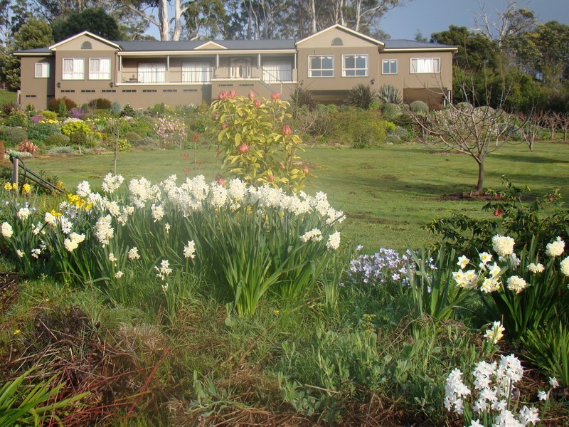 12 Pleasant Hills Drive, Grindelwald TAS 7277