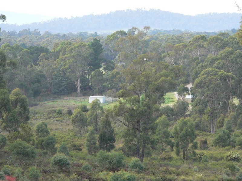 17 Possum Road, Beaconsfield TAS 7270