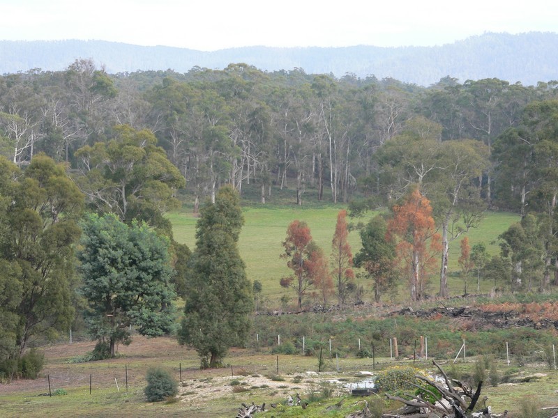 17 Possum Road, Beaconsfield TAS 7270