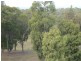 17 Possum Road, Beaconsfield TAS 7270