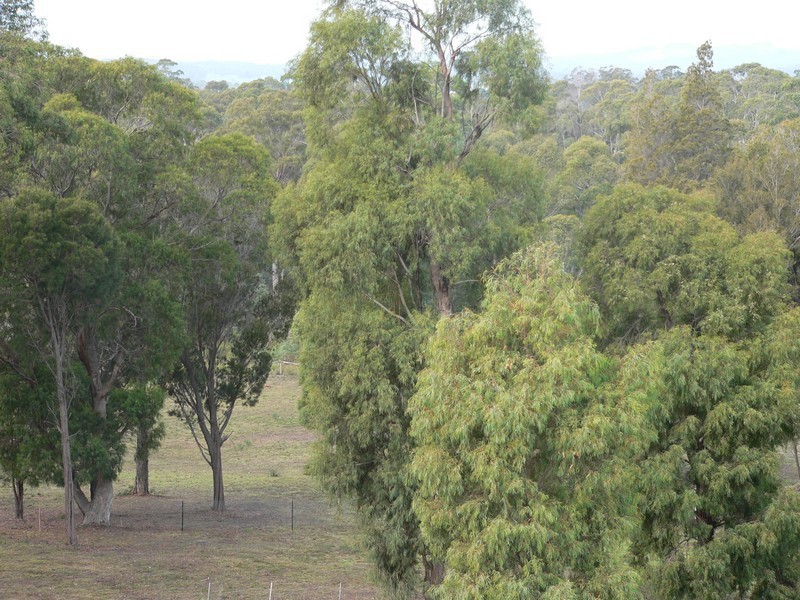17 Possum Road, Beaconsfield TAS 7270