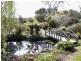 690 Rowella Road, Rowella TAS 7270