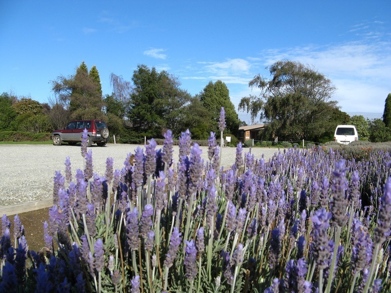 690 Rowella Road, Rowella TAS 7270