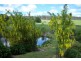 33 Mc Bains Road, Glengarry TAS 7275