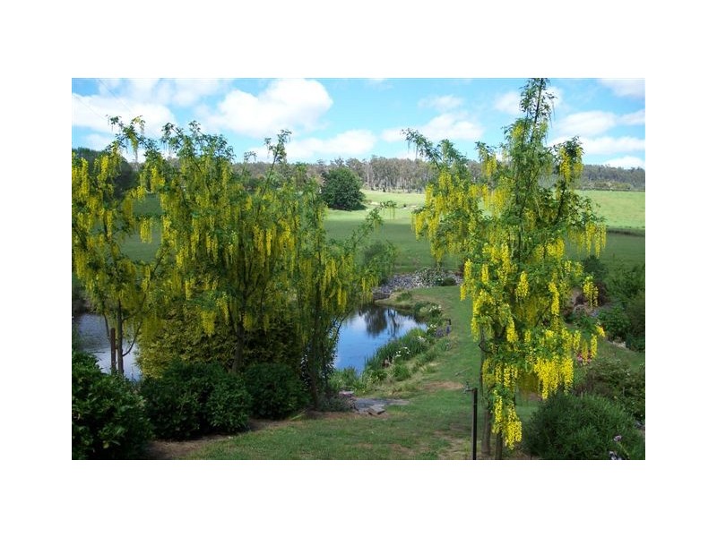 33 Mc Bains Road, Glengarry TAS 7275