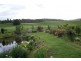 33 Mc Bains Road, Glengarry TAS 7275