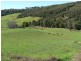 Lot 2, 163 Turkey Farm Road, Glengarry TAS 7275
