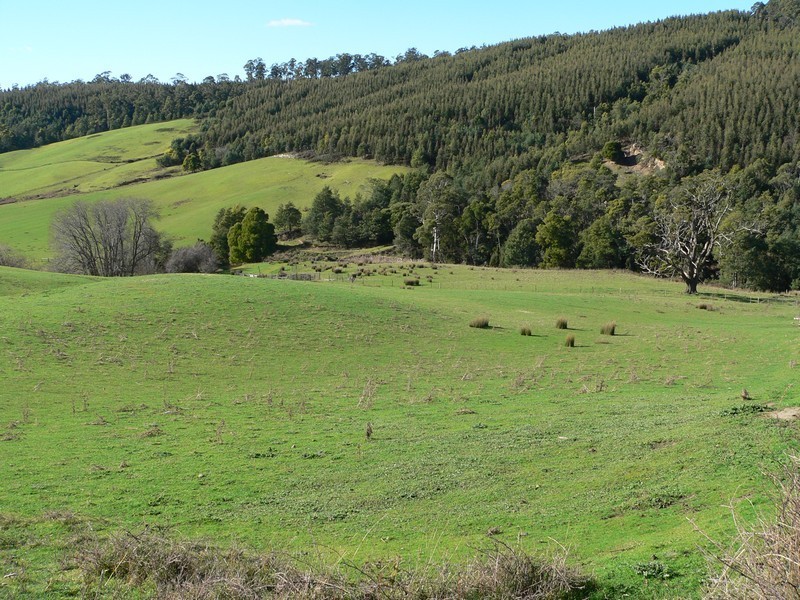 Lot 2, 163 Turkey Farm Road, Glengarry TAS 7275