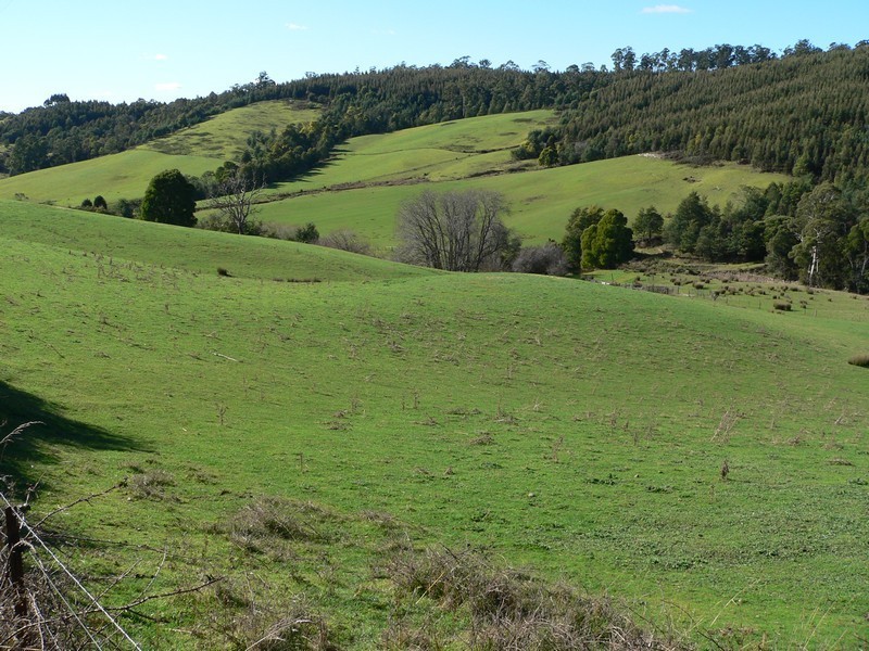 Lot 2, 163 Turkey Farm Road, Glengarry TAS 7275
