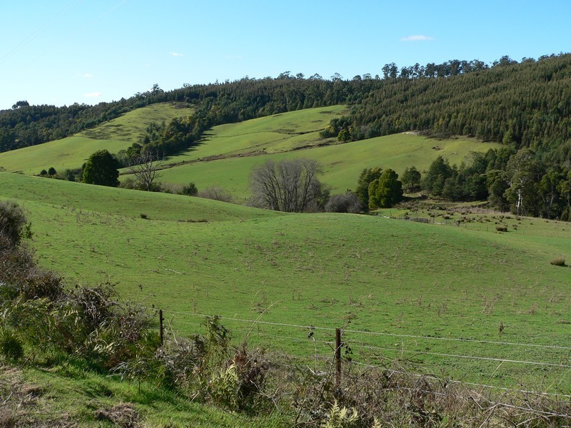 Lot 2, 163 Turkey Farm Road, Glengarry TAS 7275