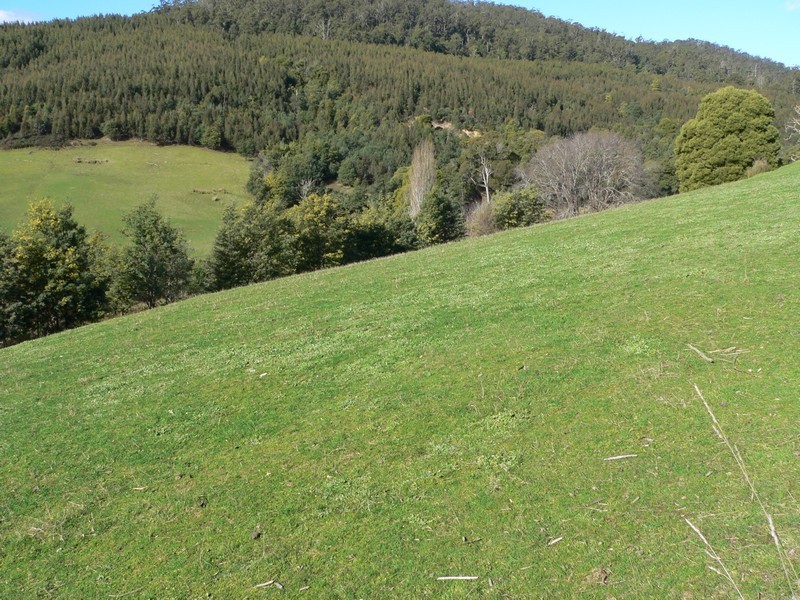 Lot 2, 163 Turkey Farm Road, Glengarry TAS 7275