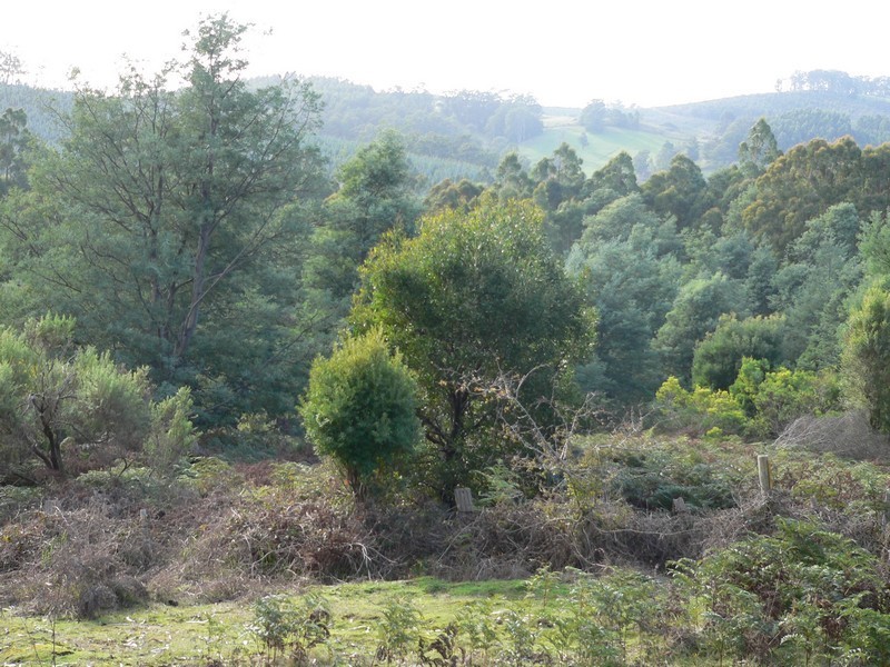.  Rookery Road, Winkleigh TAS 7275