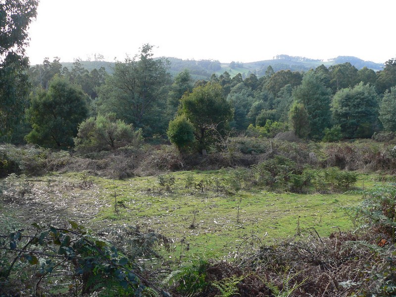 .  Rookery Road, Winkleigh TAS 7275