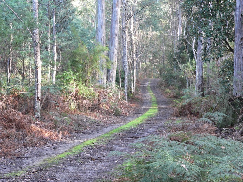 .  Rookery Road, Winkleigh TAS 7275