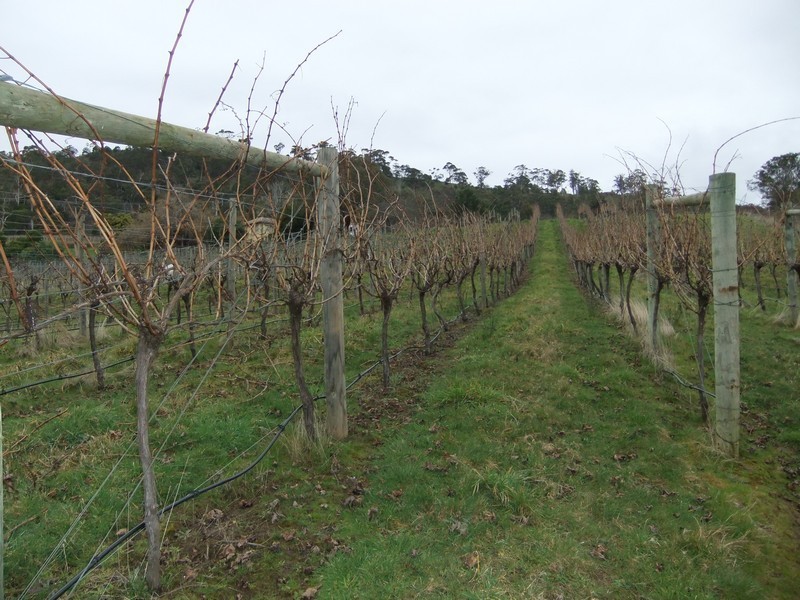 9 Craythorne Road, Rosevears TAS 7277