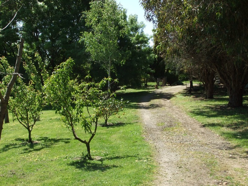 9 Craythorne Road, Rosevears TAS 7277