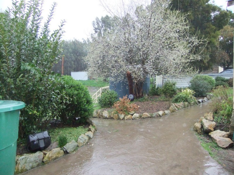 982 Priestleys Lane, Frankford TAS 7275