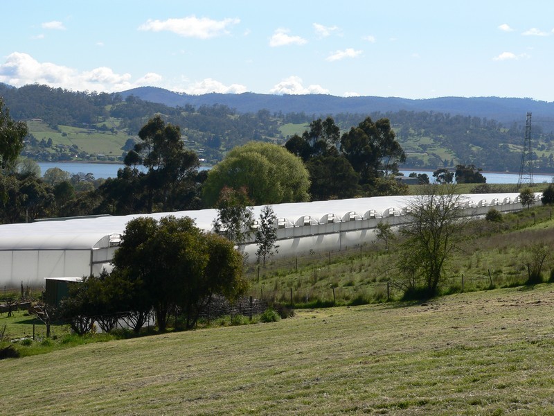 12 Craythorne Road, Rosevears TAS 7277