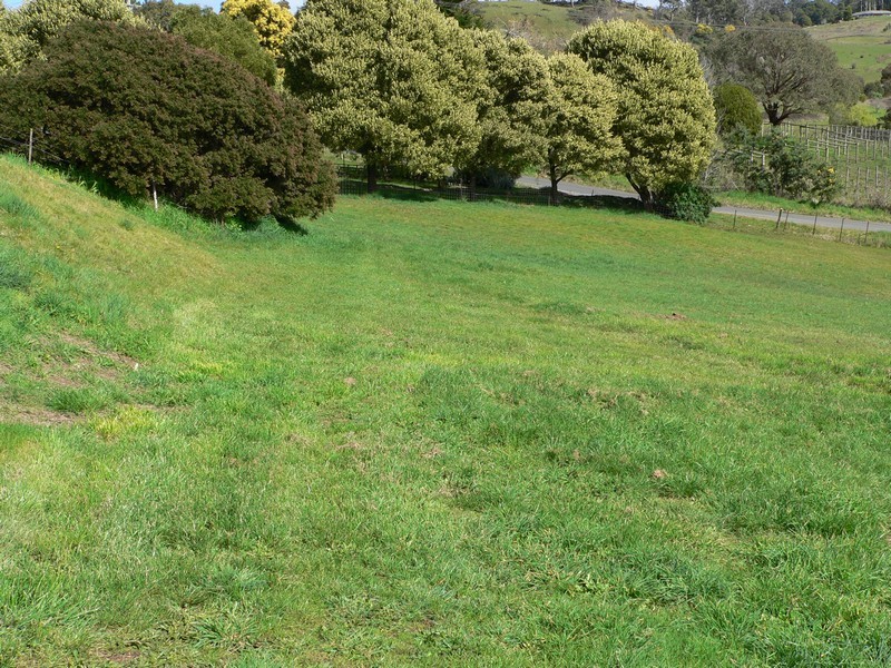 12 Craythorne Road, Rosevears TAS 7277