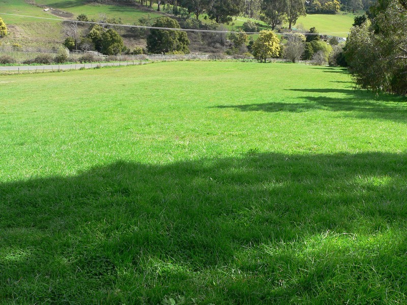 12 Craythorne Road, Rosevears TAS 7277