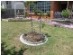 7 Snow  St, Newnham TAS 7248