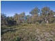 400 Badger head Road, Badger Head TAS 7270