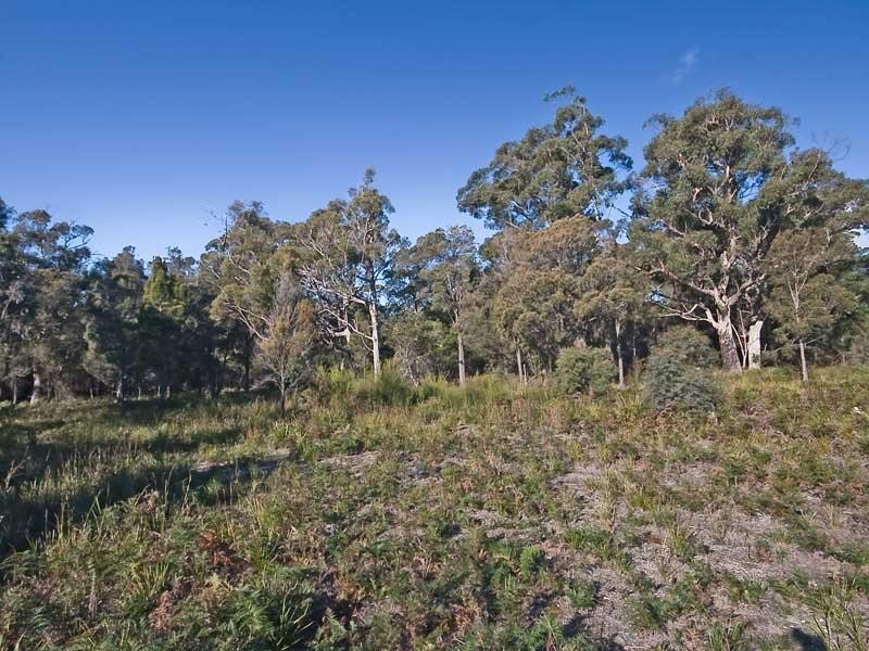 400 Badger head Road, Badger Head TAS 7270