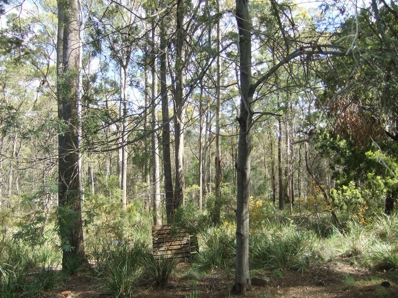 257 Motor Road, Deviot TAS 7275