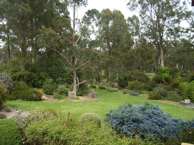465 South Winkleigh Road, Winkleigh TAS 7275