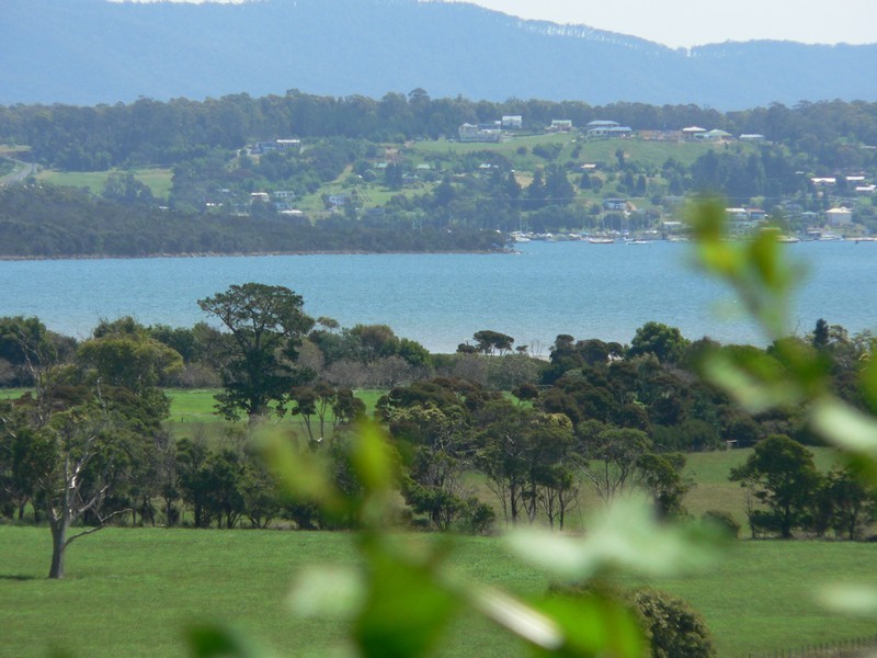 22 Brodies Road, Rowella TAS 7270