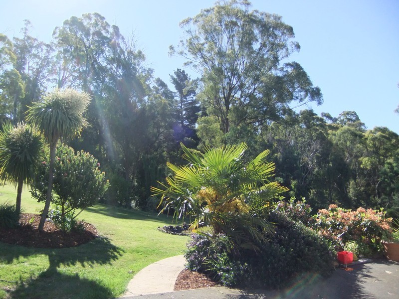 31 Bradys Lookout Road, Rosevears TAS 7277