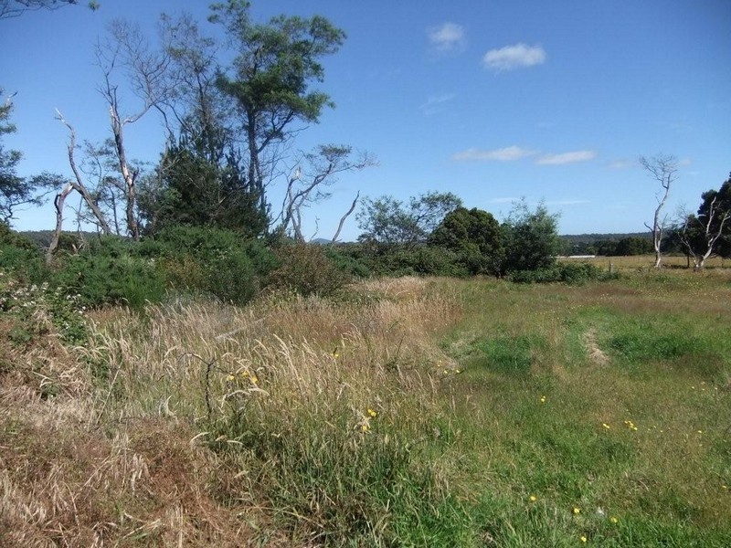 2  Clifford Street, Beaconsfield TAS 7270