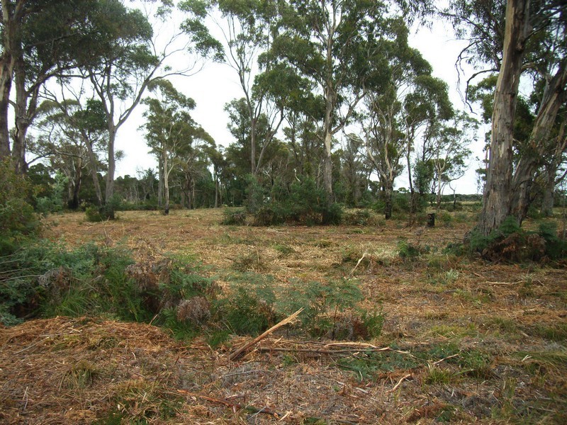 Lot 4 Greens Beach Road, Kelso TAS 7270