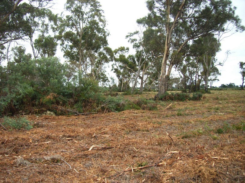 Lot 4 Greens Beach Road, Kelso TAS 7270