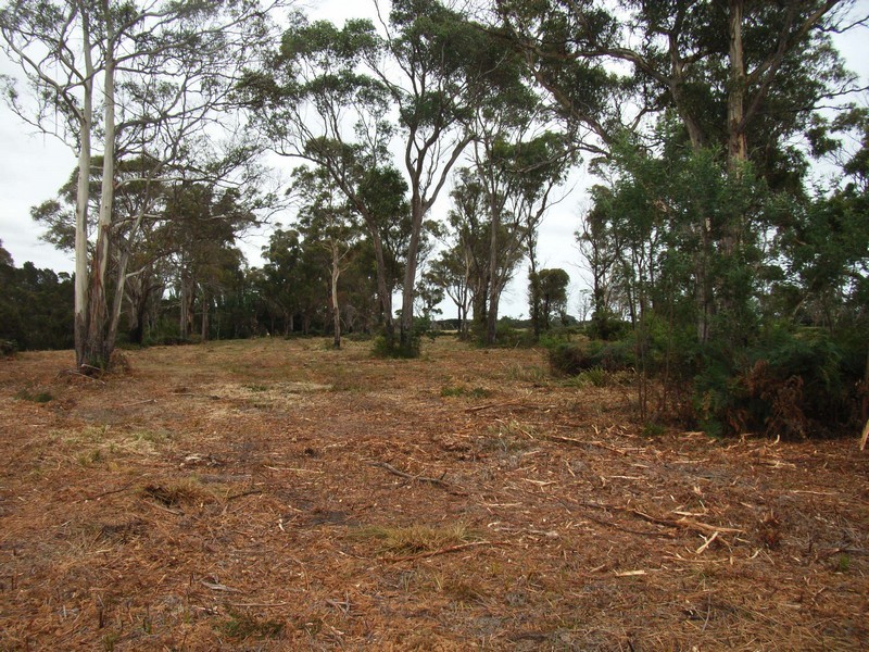 Lot 4 Greens Beach Road, Kelso TAS 7270