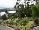425 Rosevears Drive, Lanena TAS 7275