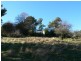 1229 East Tamar Highway, Dilston TAS 7252