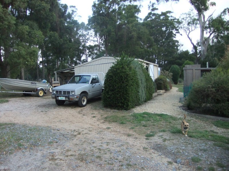 163 Deviot Road, Robigana TAS 7275
