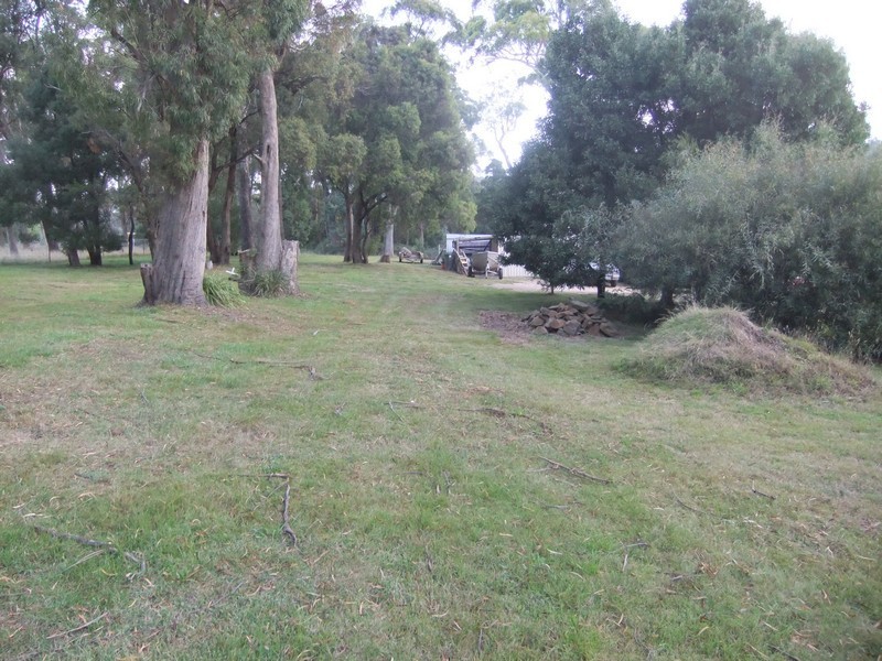 163 Deviot Road, Robigana TAS 7275