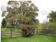 116 Stewarts Road, Winkleigh TAS 7275